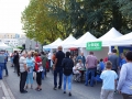 Fête des associations à Vélizy, 13 et 14 septembre 2014