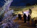 Marché de Noël Vélizy - Décembre 2014
